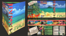 maui_hawaii_brosh_flyer_designed-by_ganna_sheyk_annaartdesign